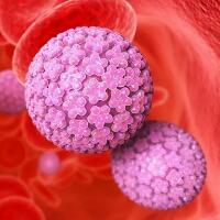 HPV是怎么感染上的，有下面这三大途径！