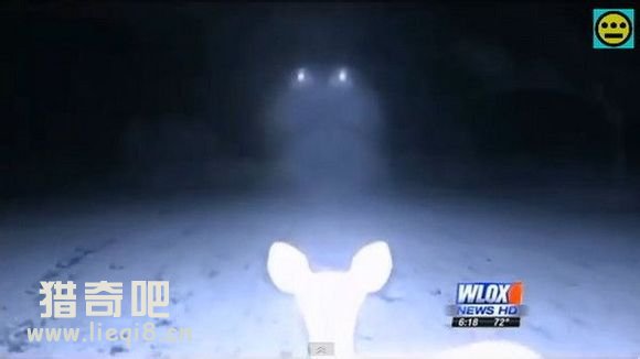 红外线摄影机拍野鹿 惊现UFO在偷拍