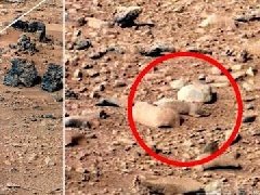 NASA火星照片照惊现大老鼠