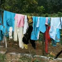 河南暴雨过后村民捡到200多件戏服，洗净后寻找失主！