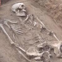 石家庄发现17座商代后期墓葬，填补了冀中南地区商代后期的考古发